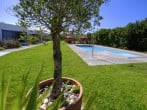 Garden and pool